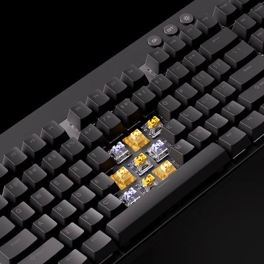 Mixed_Magnetic_Switch_Support